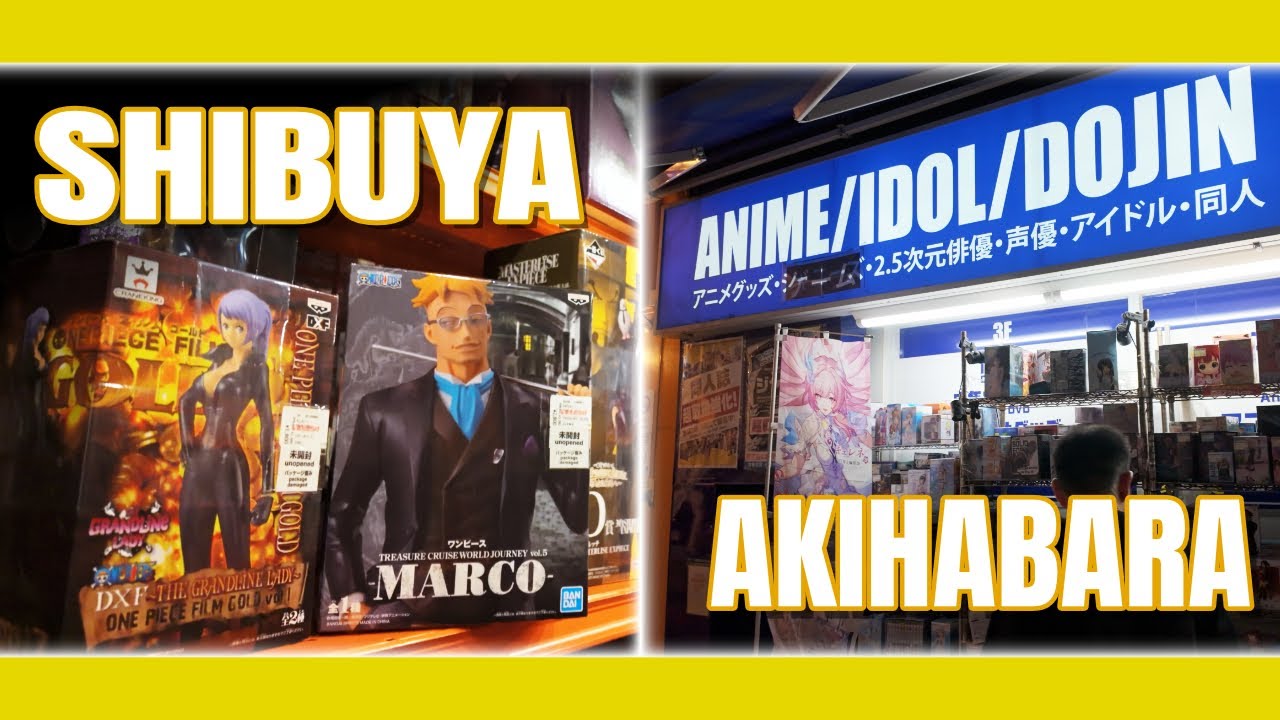東京でオタクショッピングに行ったら、手に負えなくなった