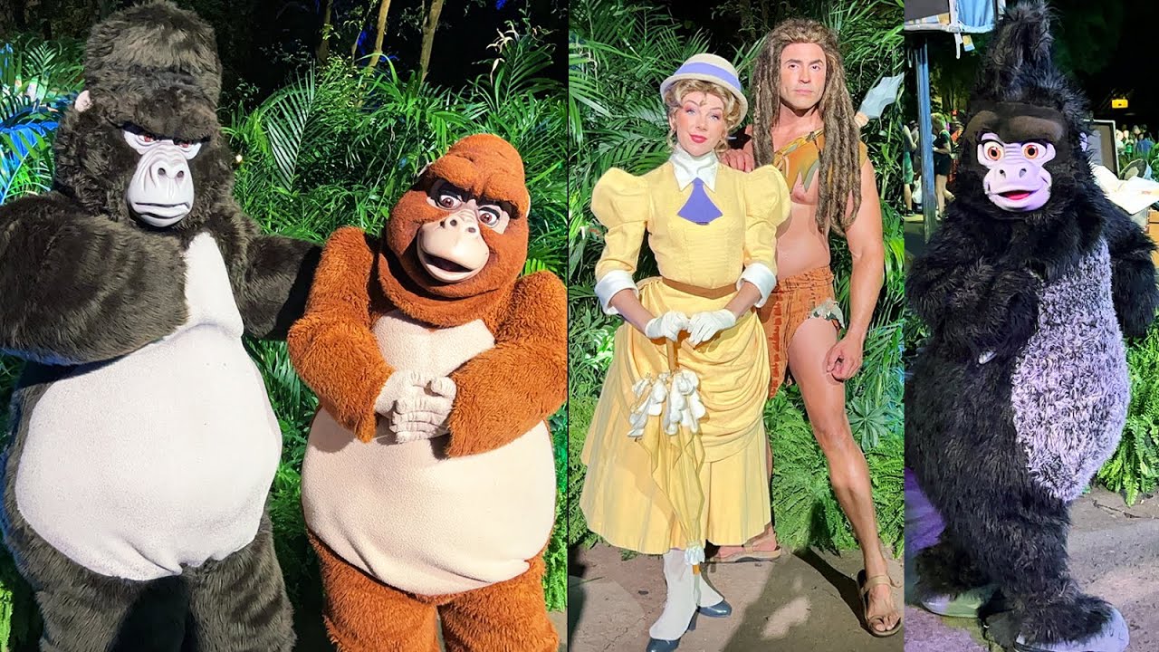 Tarzan & Jane, Kala, Kerchak & Terk Meet & Greet at Disney’s Animal Kingdom - DVC Moonlight Magic 23