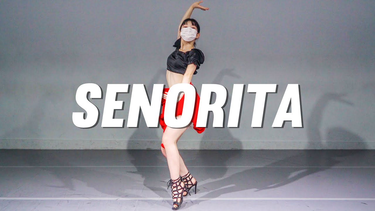 Shawn Mendes & Camila Cabello - Senorita / LEEJI Choreography.