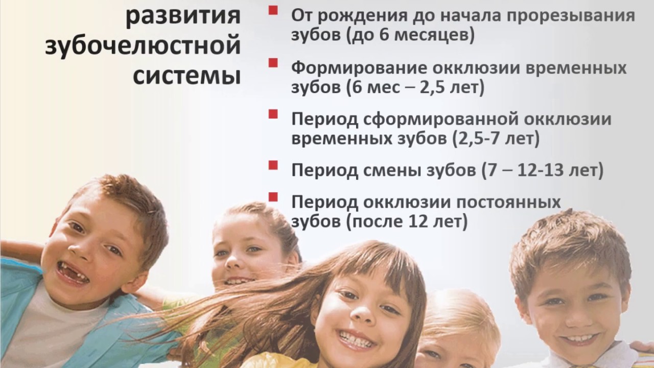 02 Периоды развития ЗЧС