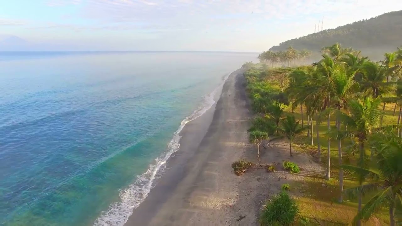 Flying Through Palm Trees Along Beach