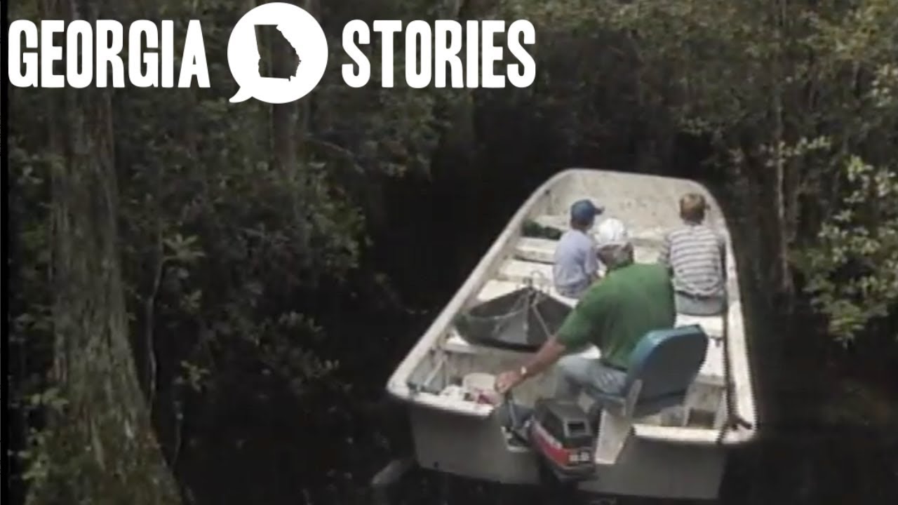 A tour through the Okefenokee Swamp | Georgia Stories