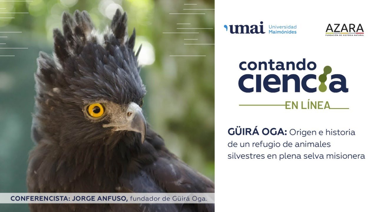 Güirá Oga: origen e historia de un refugio de animales silvestres en plena selva misionera