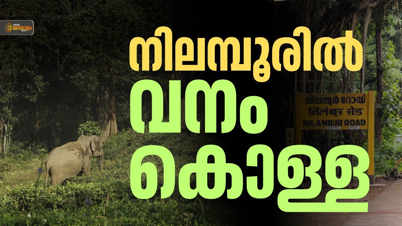 നിലമ്പൂരിൽ വൻ വനം കൊള്ള; വ്യാജ രേഖകൾ ചമച്ച്  200 ഏക്കർ വനഭൂമി തട്ടിയെടുത്തു