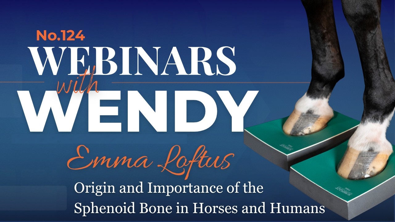 No. 124. Emma Loftus The Origin and Importance of the Sphenoid Bone in Horses and Humans