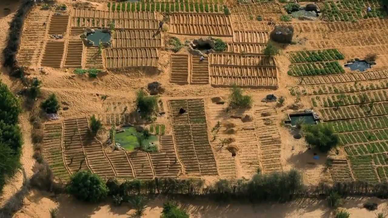 [GCSE] Desertification