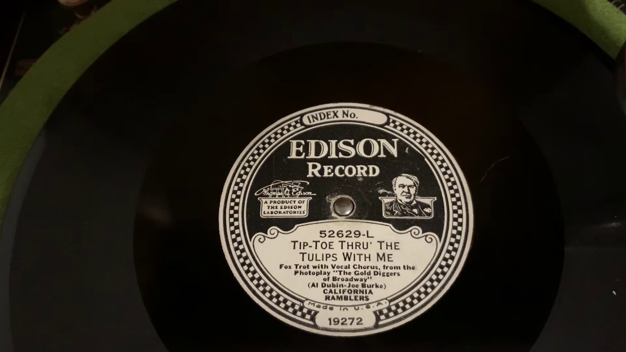 “Tip-Toe Thru’ the Tulips With Me” California Ramblers - Edison Diamond Disc 52629