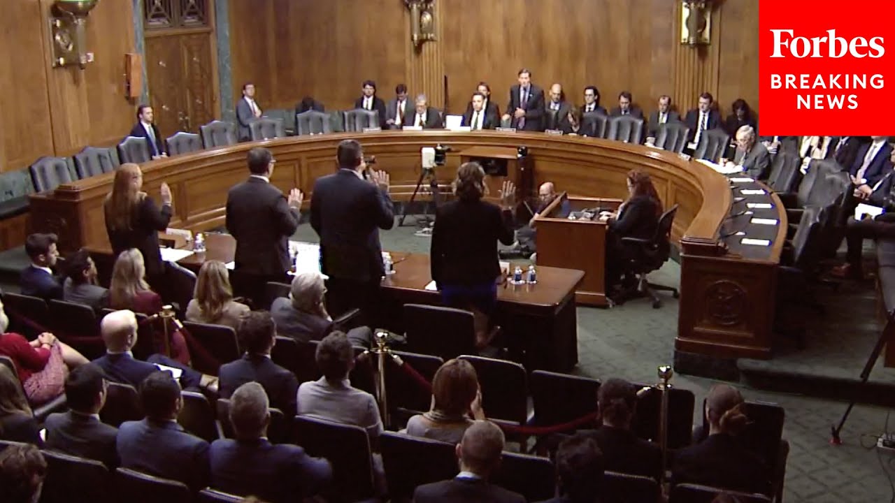 Former Google And OpenAI Employees Testify To Senate Judiciary Committee About AI