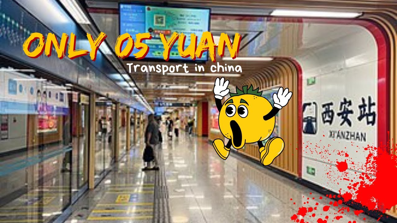 Experienced china’s transportation 