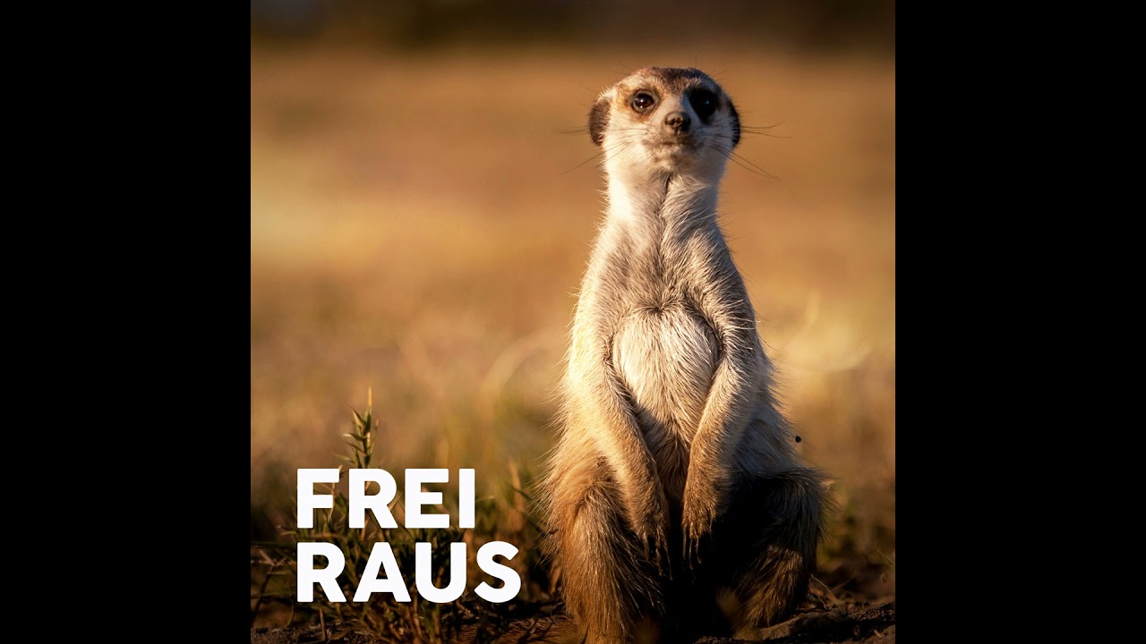 Wem gehört deine Aufmerksamkeit und was hat der Wald damit zu tun? Plus: Reise-Trends