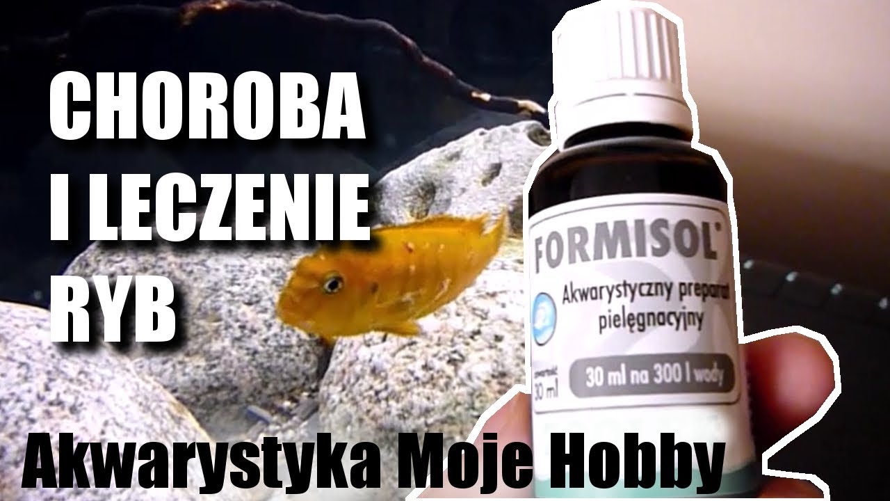 Choroba i leczenie ryb