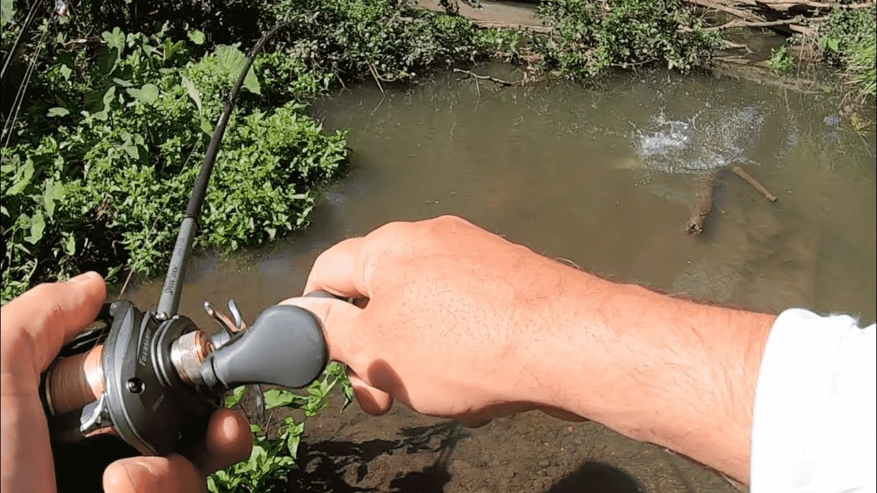 BASS FISHING | In Small Creeks.