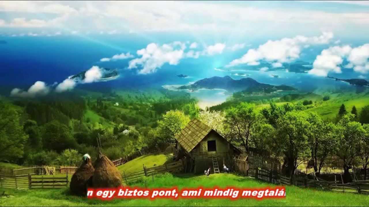 BROVIDEO