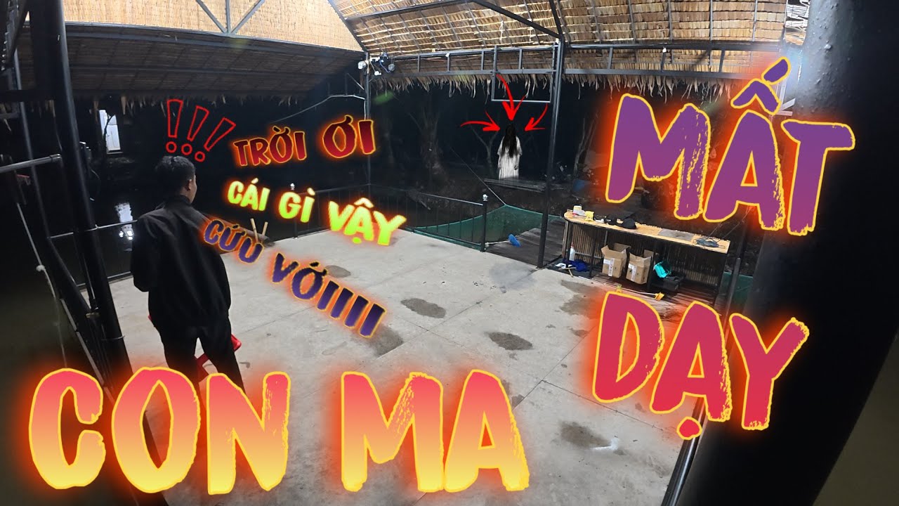 TNB -  Đừng Đi Ỉa Khi Lũ Bạn Còn Trong Chòi ! Lời Cảnh Tỉnh | Thanh Nhã Vlog