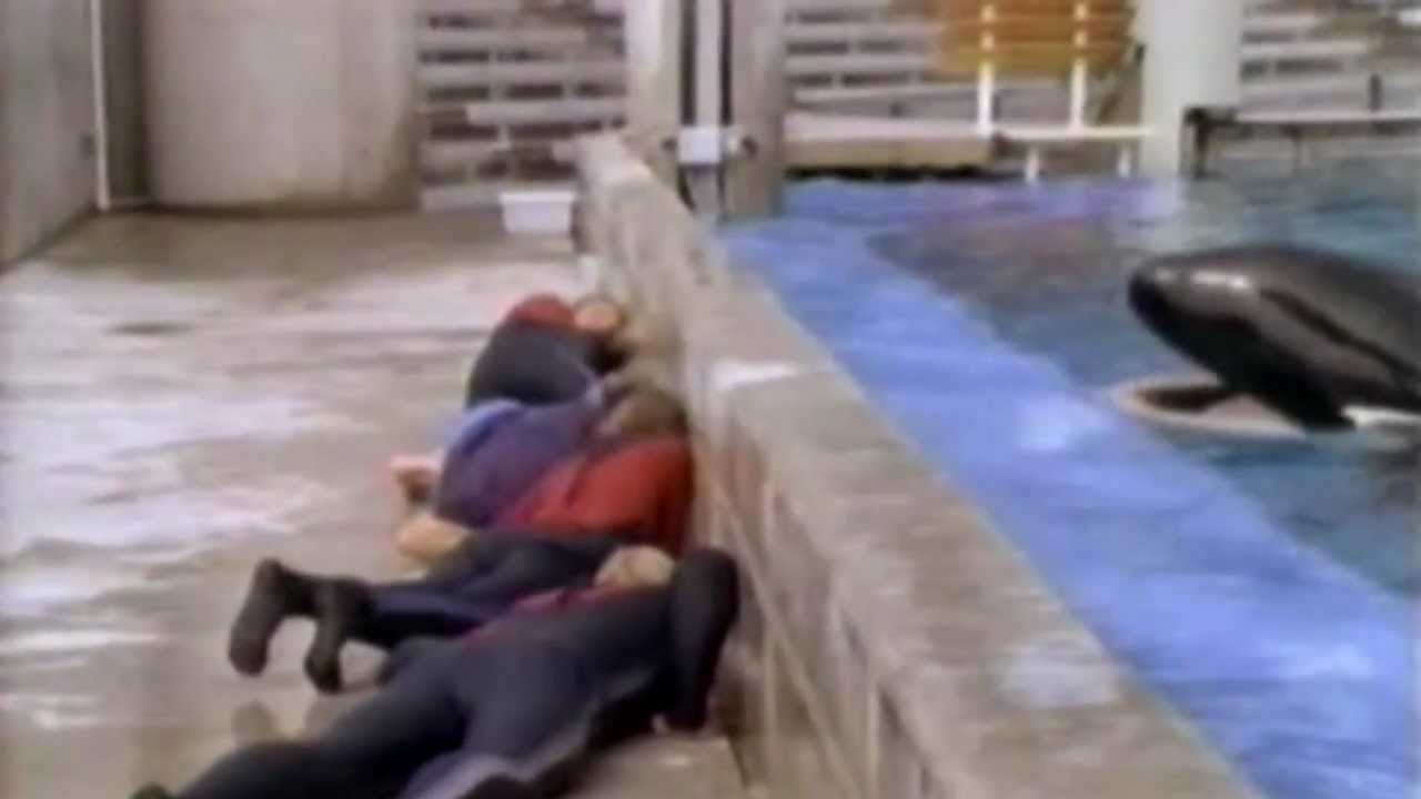 Vintage Sea World