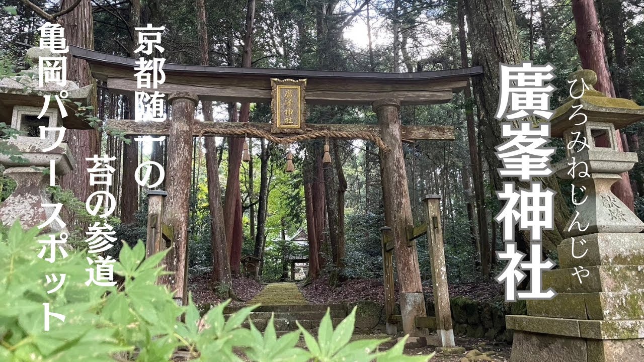 京都随一の苔の参道✨『廣峯神社』⛩【京都隠れパワースポット】