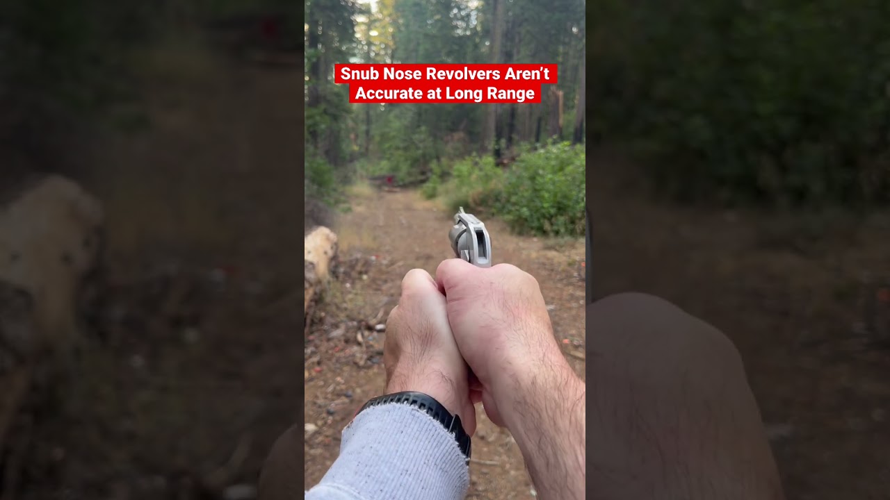 S&W J-Frame 638
