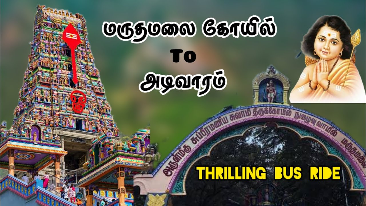 மருதமலை🔥to அடிவாரம்🙏🏻  New year special down hill Bus ride 