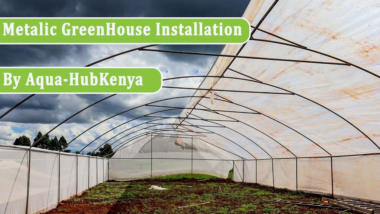 Greenhouse farming: How to install a Steel/metallic Greenhouse in Kenya l Contact us on 0790719020