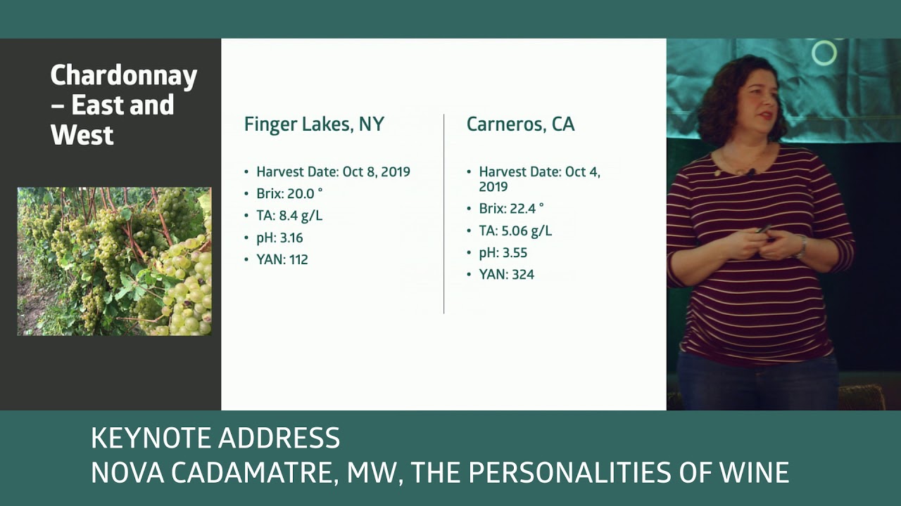 2019 Napa Vintage Report - Nova Cadamatre - Keynote
