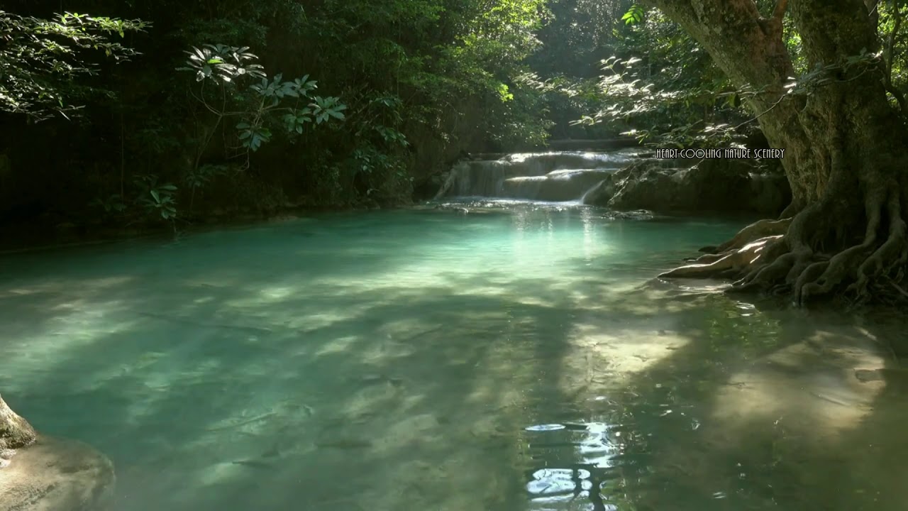 Secret Forest Creek Valley Sounds for Meditation/Sleep with Relaxing Piano