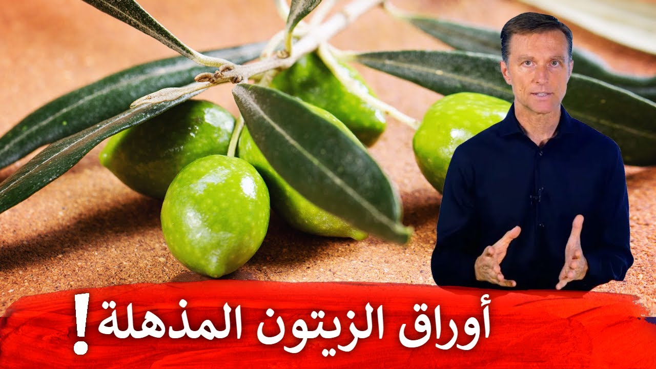 لماذا أنصح بشدة بتناول أوراق الزيتون!