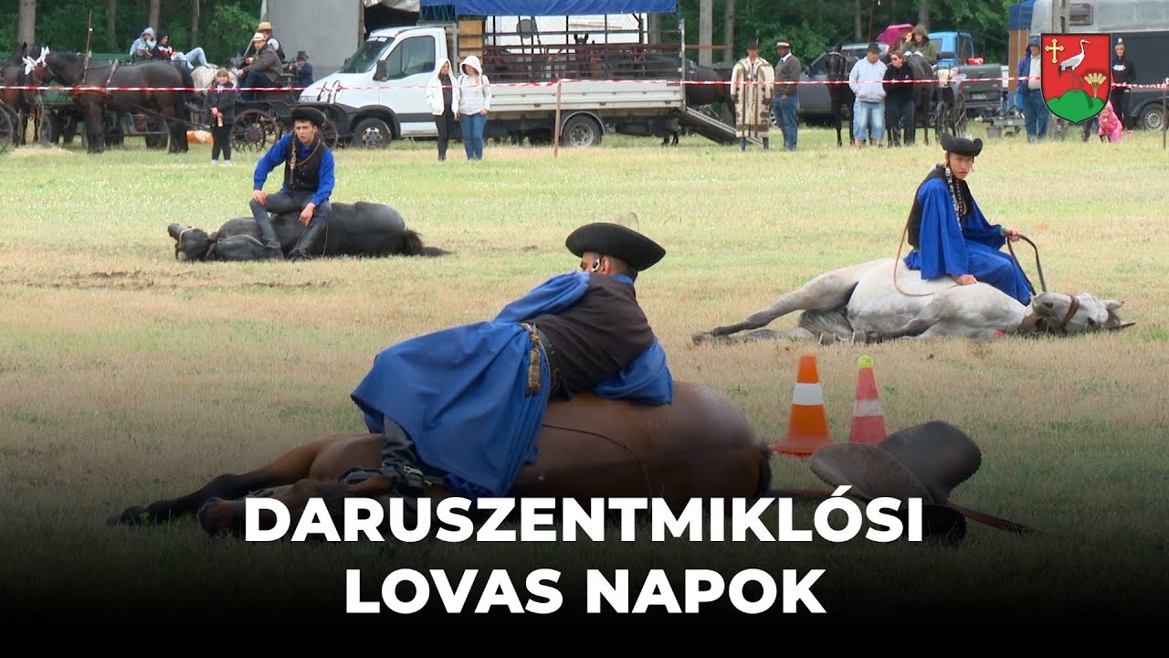 2022.06.03 - Daruszentmiklósi lovas napok