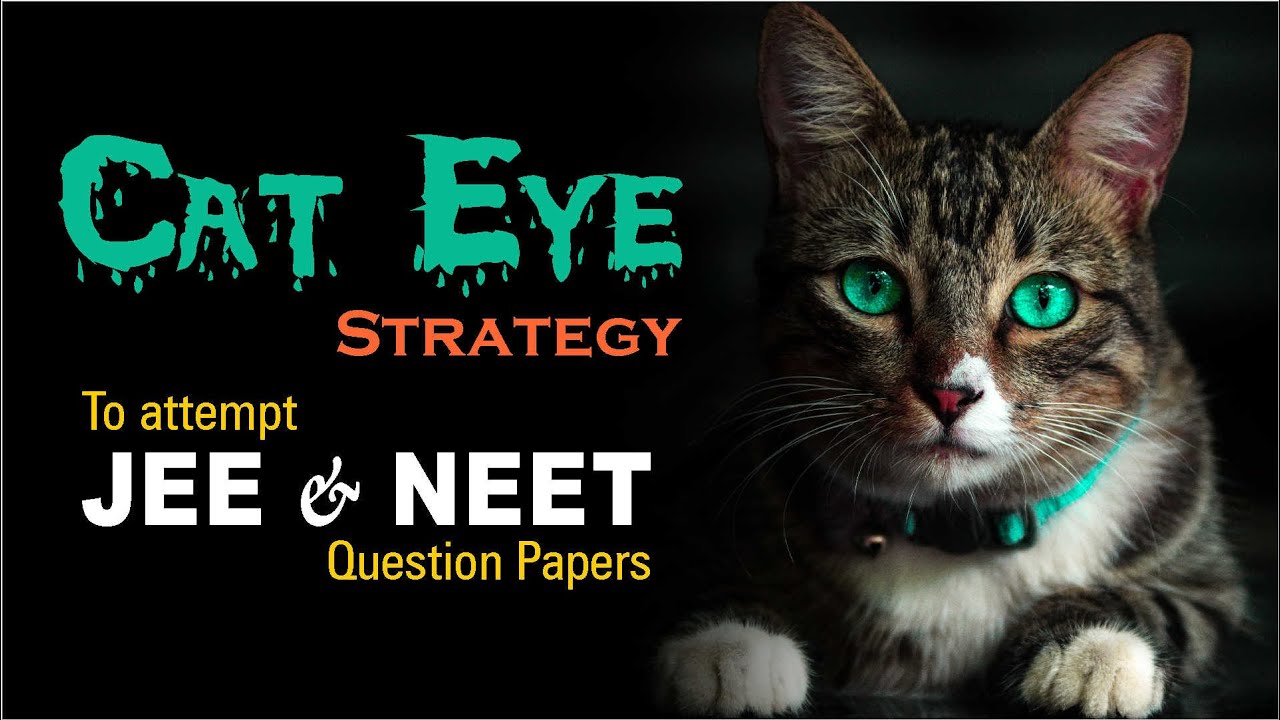 CAT-EYE Strategy to attempt JEE Main 2023 Exam