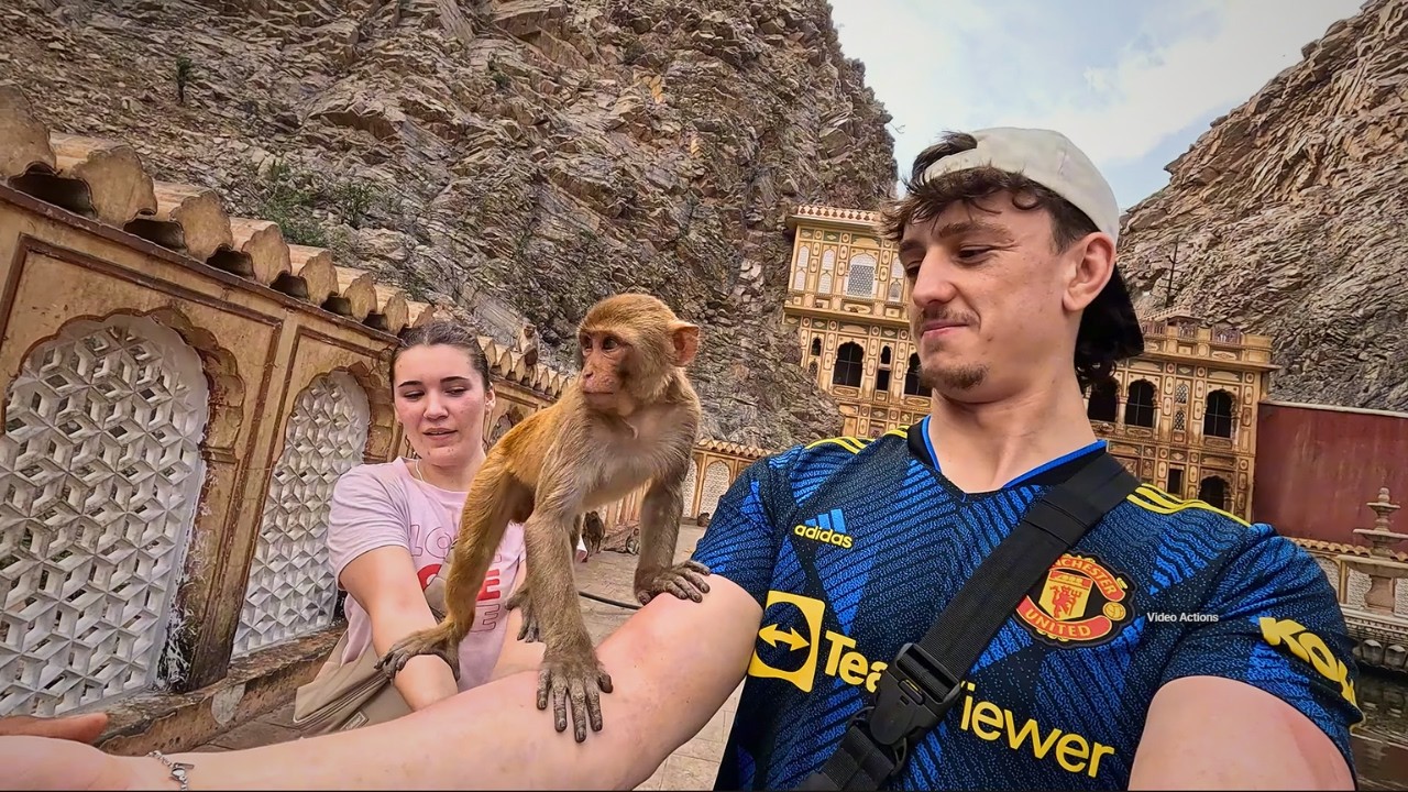 Vlog 5