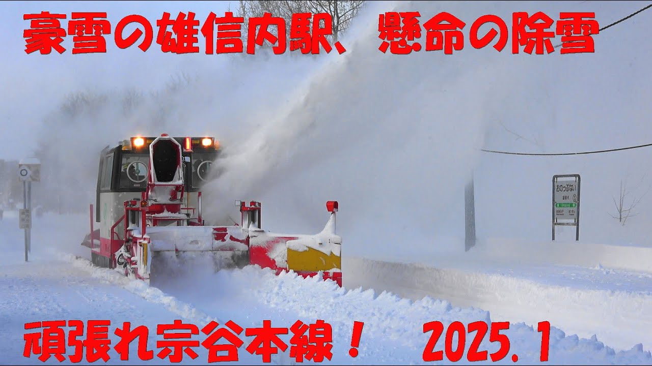 吹雪が去った雄信内駅 ハイモ懸命の除雪 頑張れ宗谷本線！ 2025.1