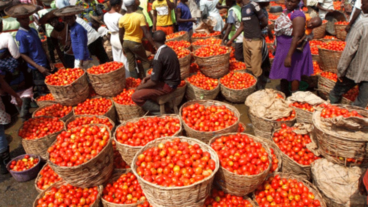 AKUKO UWA - News In Igbo Language From Aba, Abia State, Nigeria