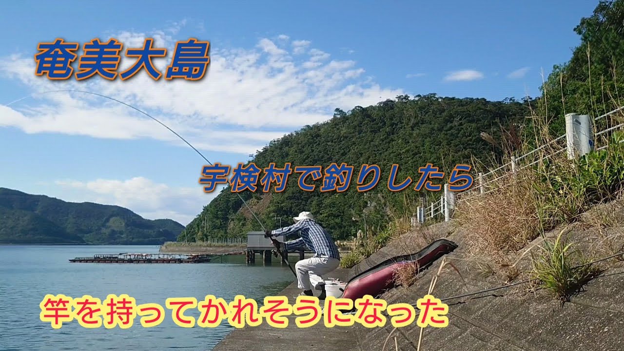 奄美大島　宇検村で釣り。竿を持ってかれそうになった。