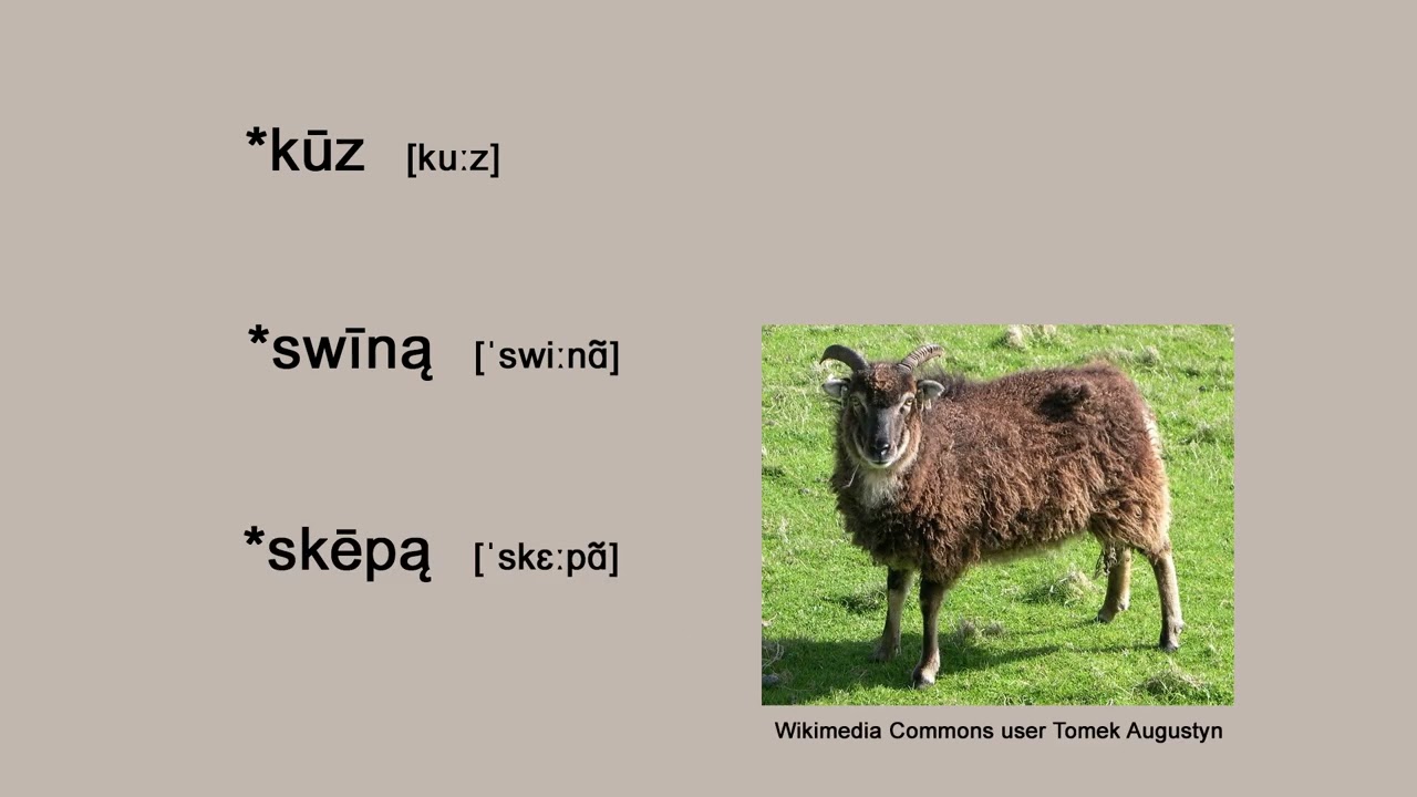 Proto-Germanic Farming Terminology