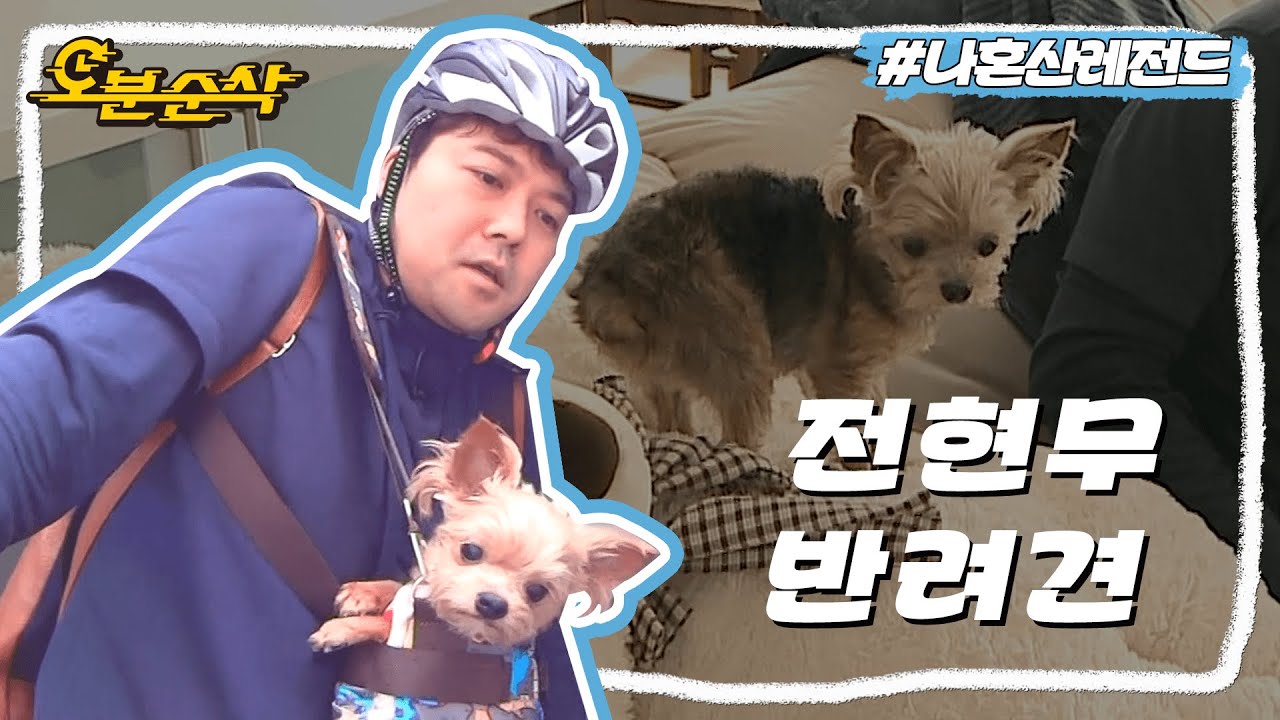 충격적 귀여움,,, 다람쥐야 뭐야,,🥰😭 반려견 또또랑 나들이 가는 전현무 | 나혼자산다⏱오분순삭 MBC140328방송