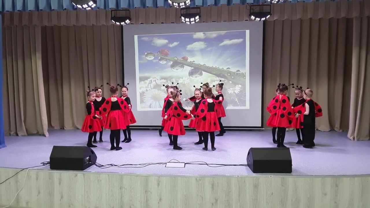 Божья коровка 2022
