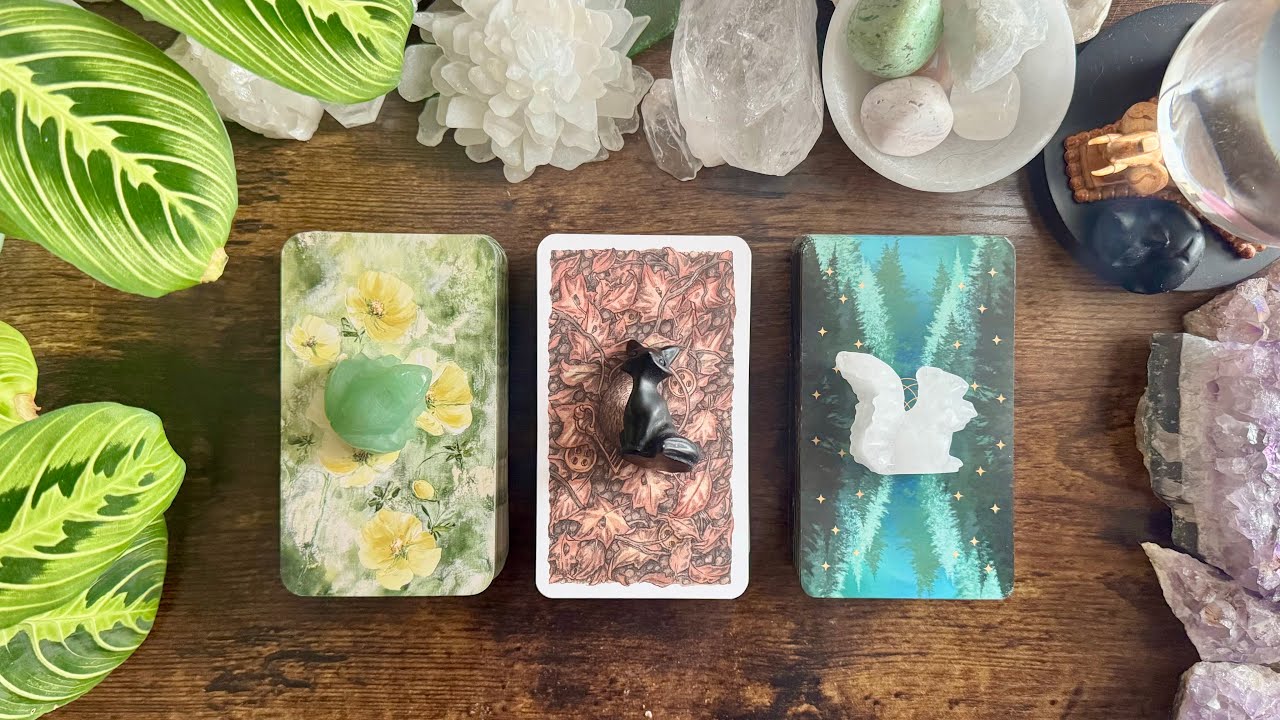 What is the FUTURE of this connection? 🤔🔮❤️🫣 Pick a Card Reading 🫣❤️🔮🤔 TIMELESS READING