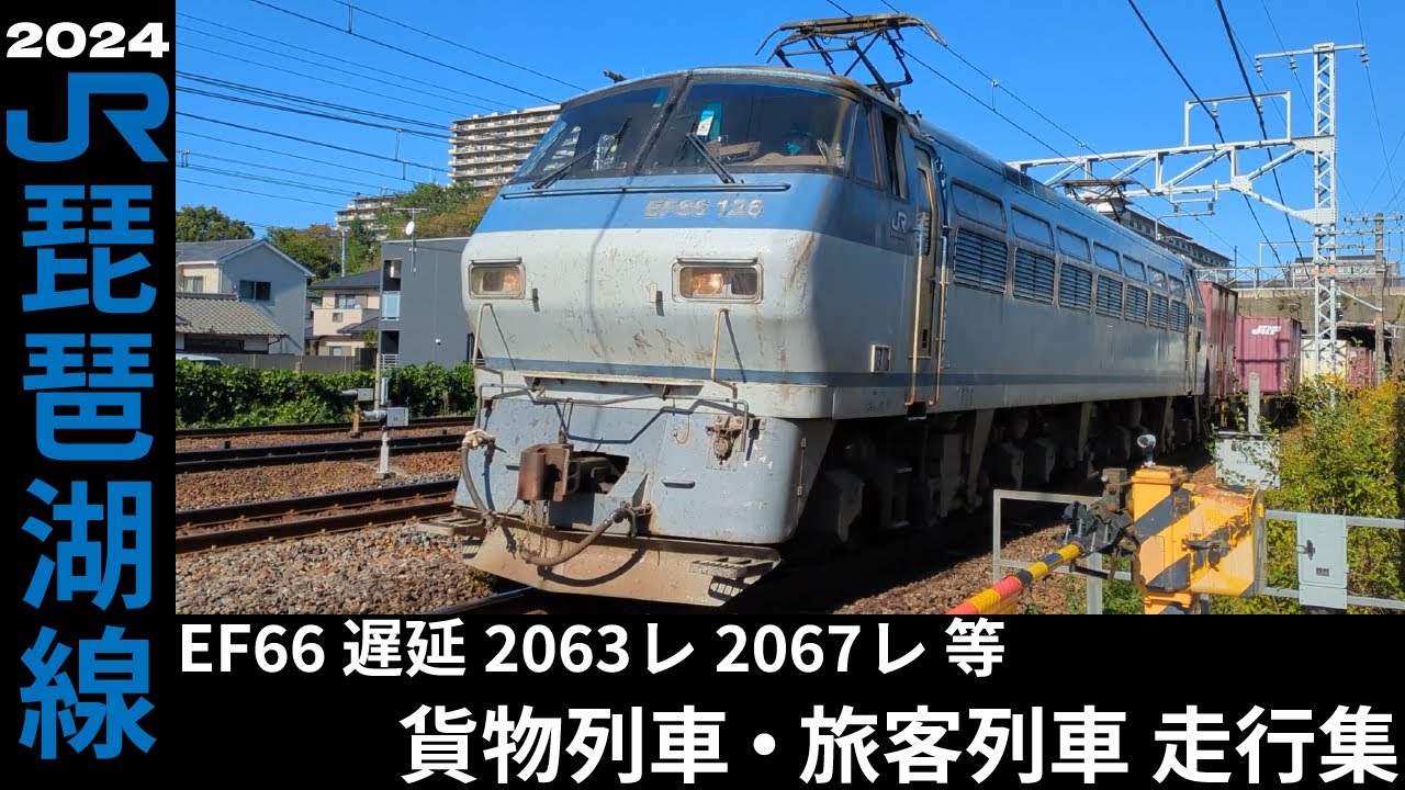 2024.11 琵琶湖線（東海道本線）EF66・EF210・EF510 貨物列車 スーパーグリーンシャトルライナーなど 走行集
