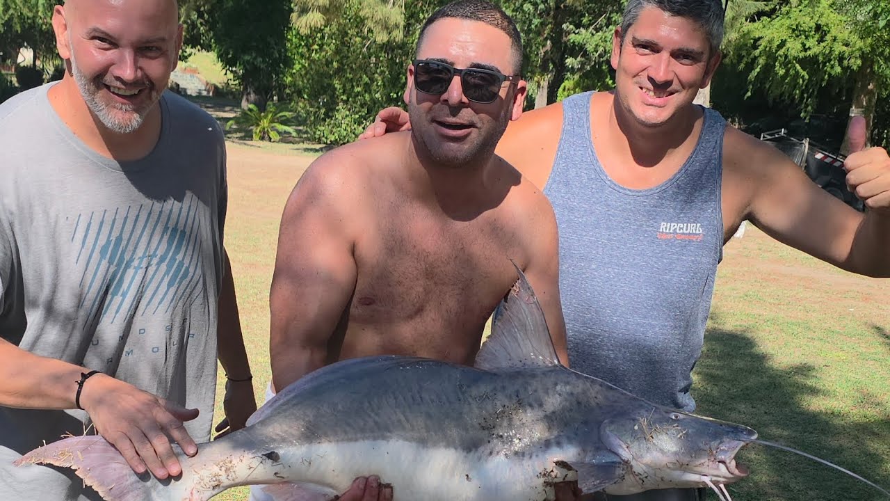 LOS GIGANTES DEL GUAZU.  pesca en un camping FAMILIAR.  