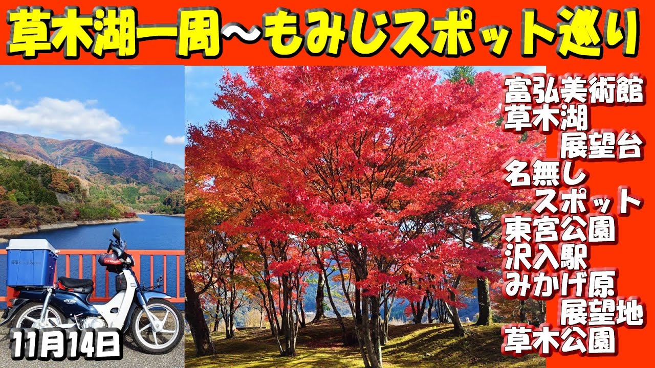 紅葉【草木湖一周～もみじスポット巡り】～富弘美術館、草木湖展望台、名無しスポット、東宮公園、みかげ原展望地、草木公園のもみじの紅葉具合お伝えします