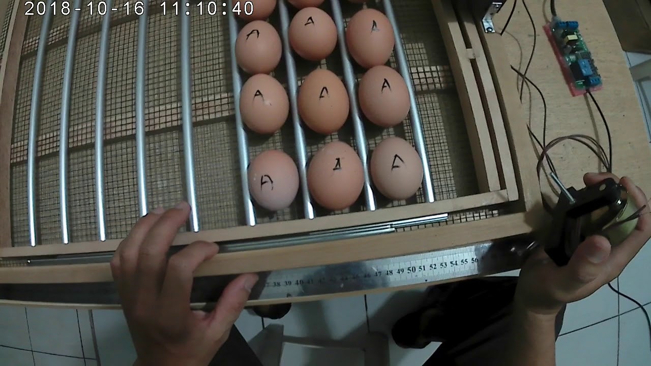 Buat sendiri rak geser bagus utk mesin tetas otomatis.