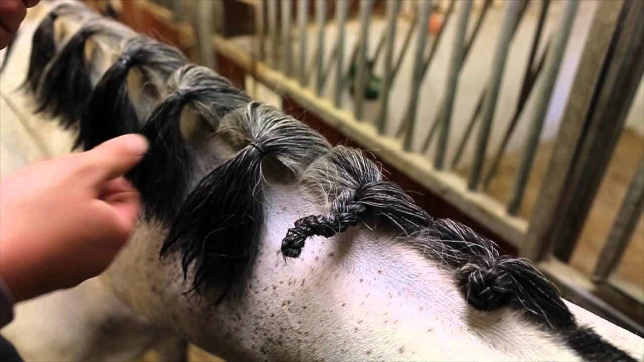 Horsegroom Denmark Syet Rosenknop Toturial