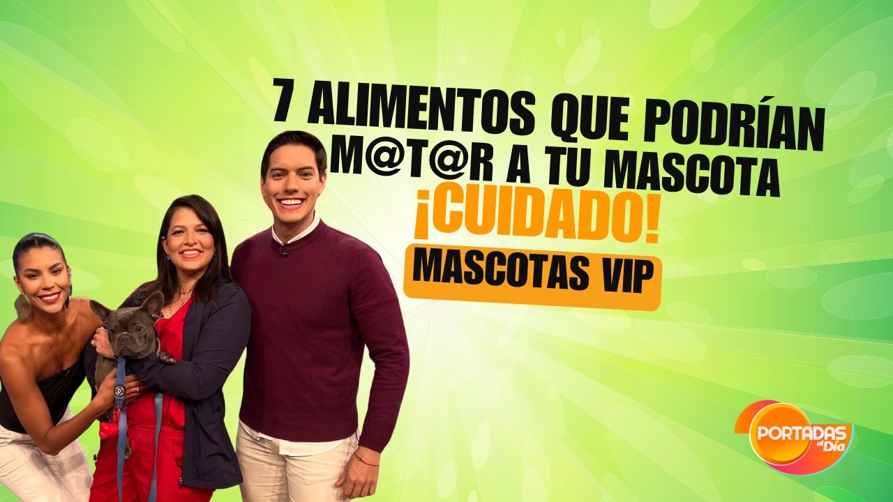 🛑 ¡CUIDADO! 7 Alimentos que podrían MATAR a tu mascota
