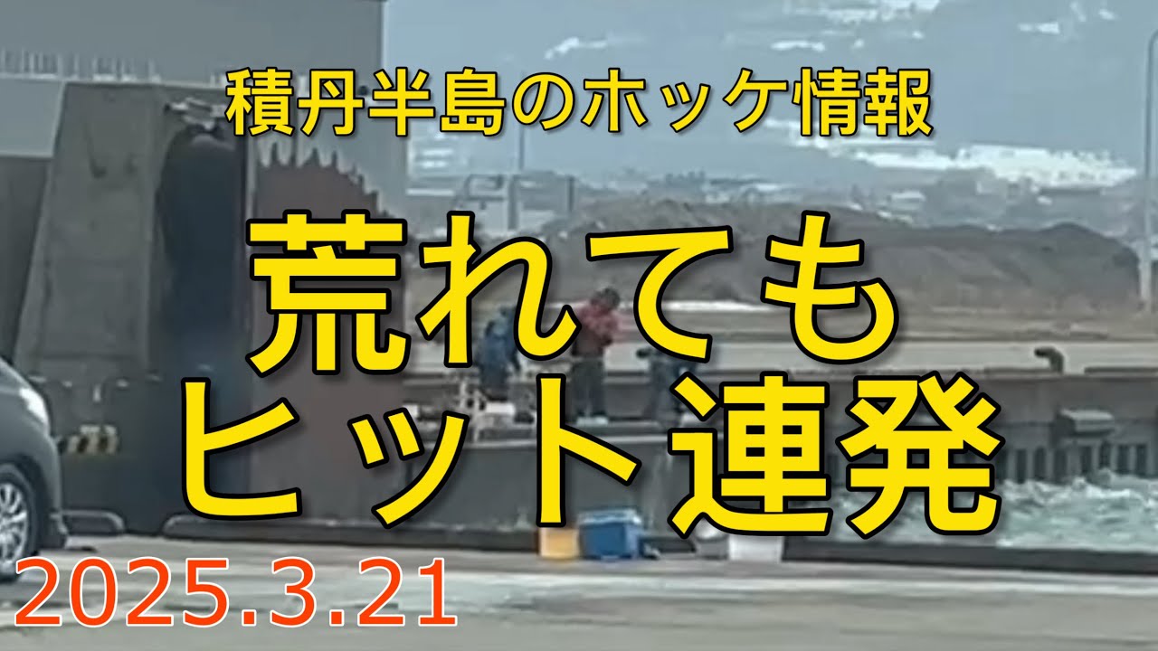 積丹半島のホッケ情報【2025.3.21】
