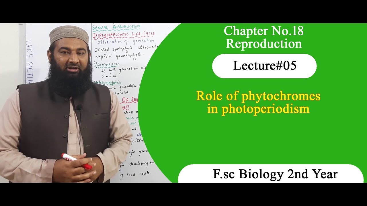 Biology Ch#18-Lecture#05 Role of phytochromes in photoperiodism (F.Sc 2nd Year)