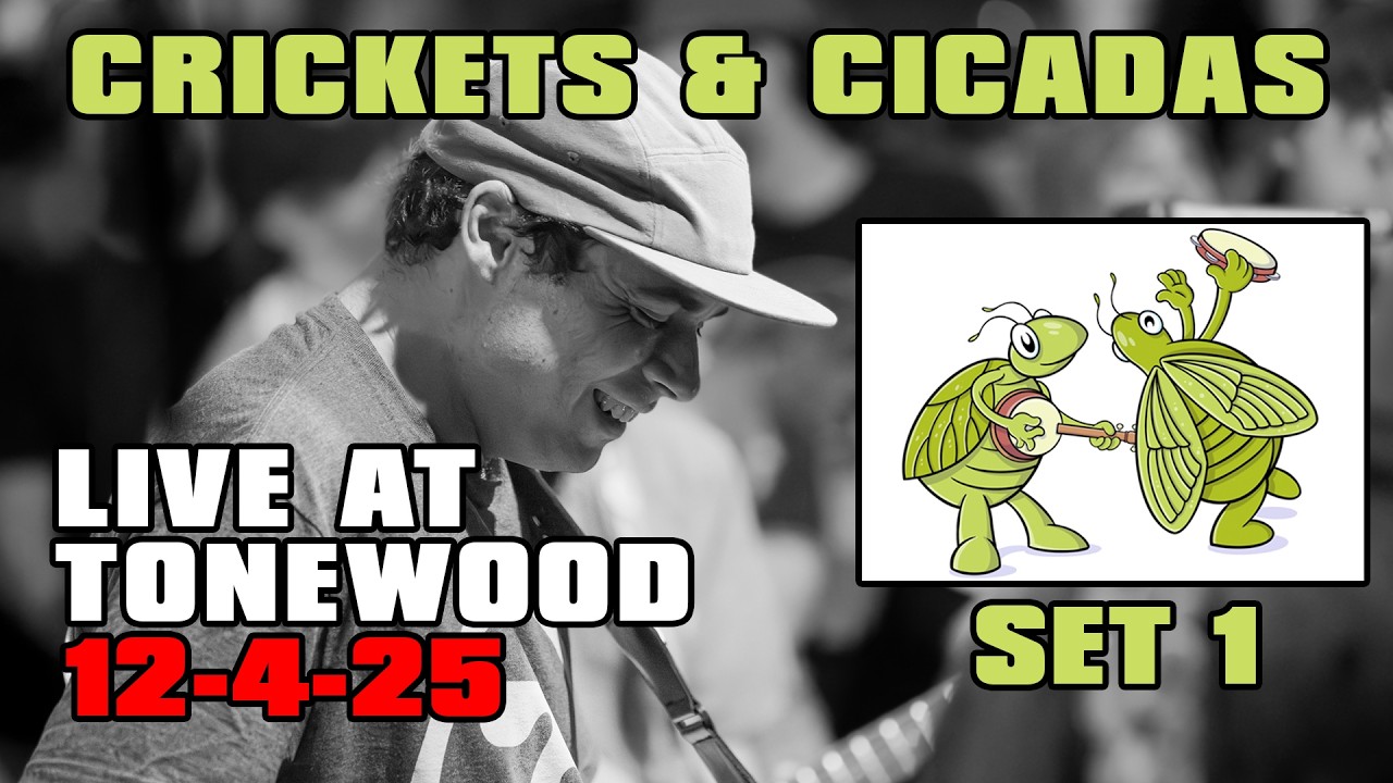 Crickets & Cicadas Live at Tonewood Brewing, w/ special guest Aron Magner (Disco Biscuits) 12-4-25