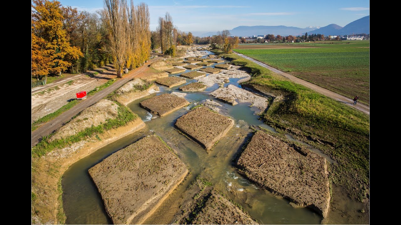 La revitalisation de l'Aire