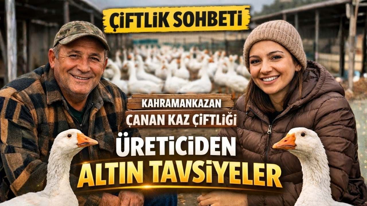 ÇİFTLİK SOHBETİ KAHRAMANKAZAN CANAN KAZ ÇİFTLİĞİ