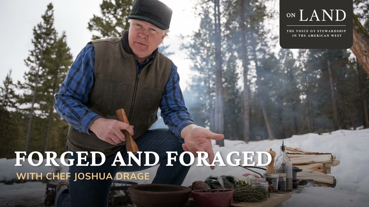 Forged and foraged with Chef Joshua Drage
