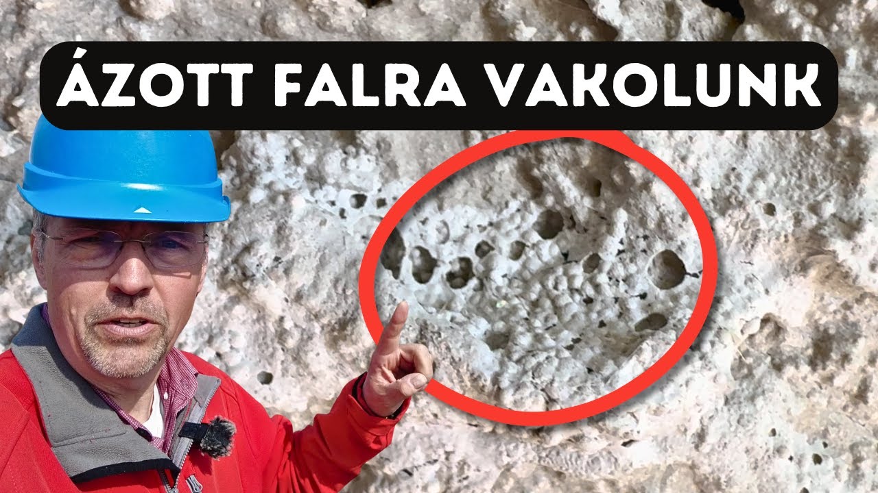 A fal vizes, büdös és omlik? Így mentheted meg a házad!