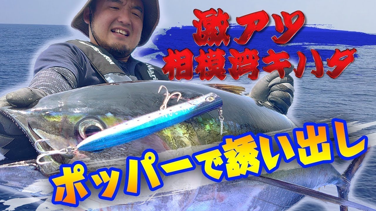 ポッパーの誘い出しで狙う相模湾キハダマグロ